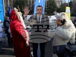 Румъния - Букурещ - учители - образование - протест