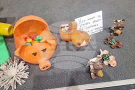 Стара Загора - конкурс „Млад еколог“ - награждаване