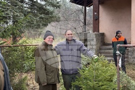 Самоков - Държавно горско стопанство - коледни елхи