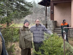 Самоков - Държавно горско стопанство - коледни елхи