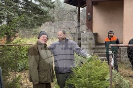 Самоков - Държавно горско стопанство - коледни елхи