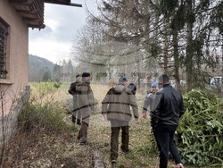 Самоков - Държавно горско стопанство - коледни елхи