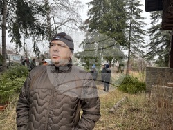 Самоков - Държавно горско стопанство - коледни елхи