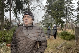 Самоков - Държавно горско стопанство - коледни елхи