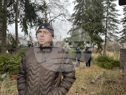 Самоков - Държавно горско стопанство - коледни елхи