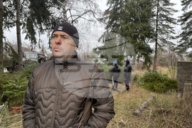Самоков - Държавно горско стопанство - коледни елхи