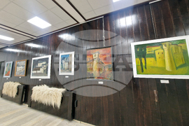 Смолян - музей - Агушеви конаци - изложба