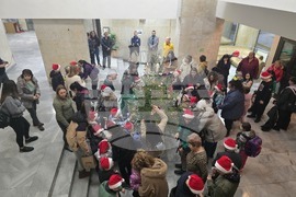 Ловеч - областна администрация - коледна елха