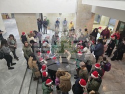 Ловеч - областна администрация - коледна елха