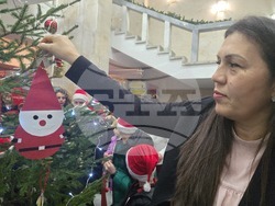 Ловеч - областна администрация - коледна елха