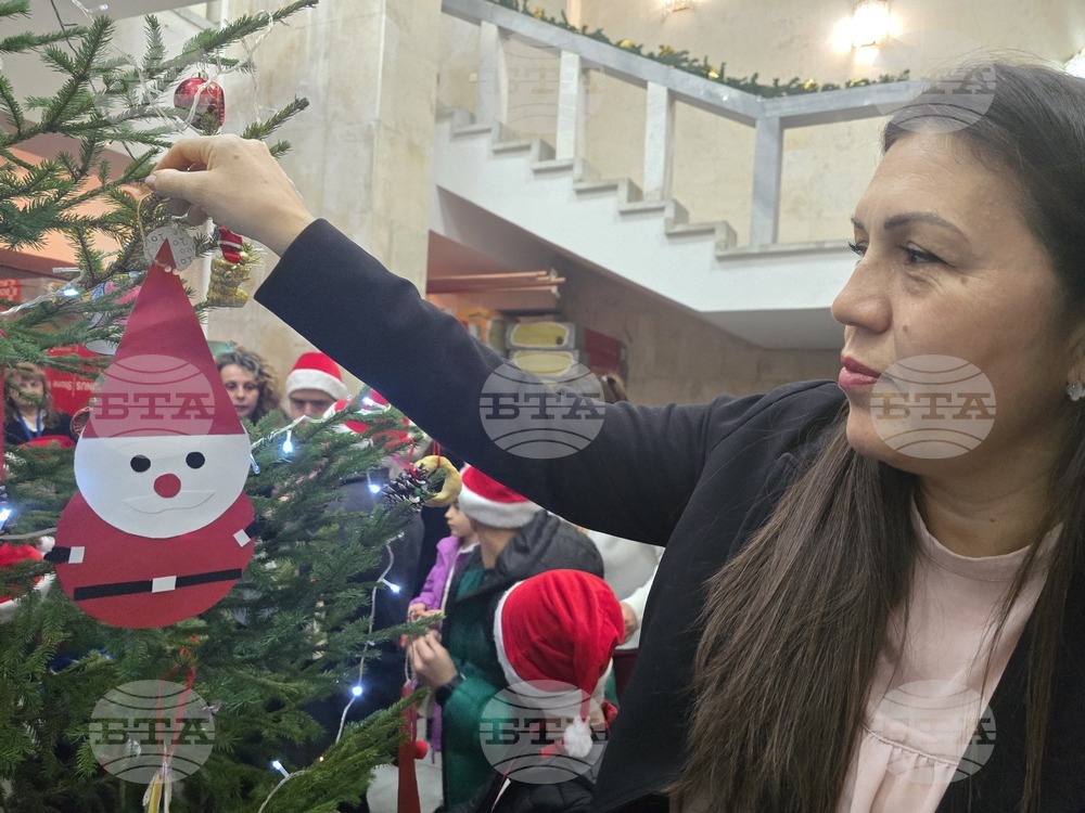 Ловеч - областна администрация - коледна елха