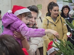 Ловеч - областна администрация - коледна елха