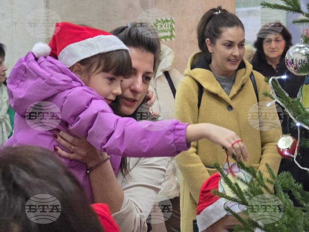 Ловеч - областна администрация - коледна елха