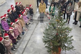 Ловеч - областна администрация - коледна елха