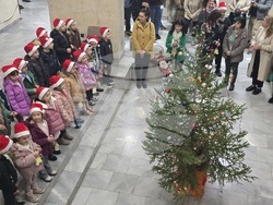 Ловеч - областна администрация - коледна елха