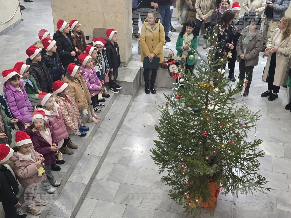 Ловеч - областна администрация - коледна елха