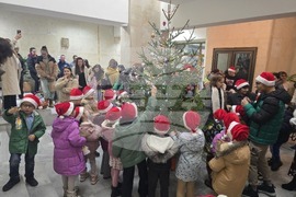 Ловеч - областна администрация - коледна елха