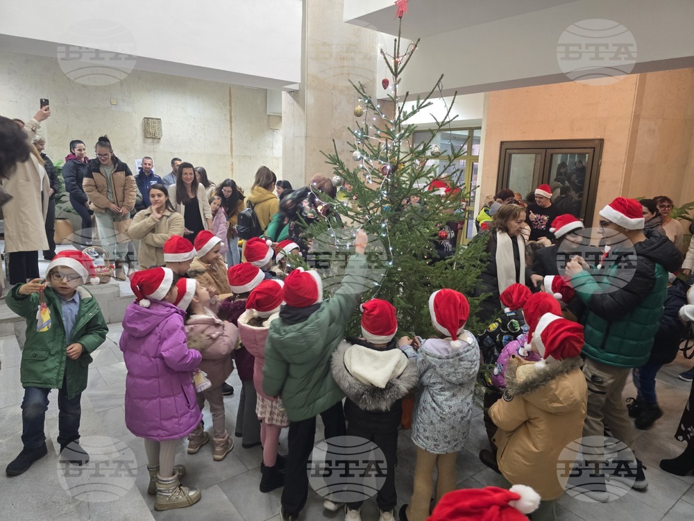 Ловеч - областна администрация - коледна елха