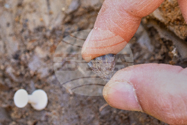 Britain Archaeology Fire Making