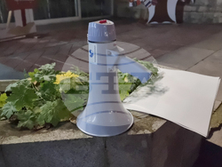 Добрич - протест срещу правителството