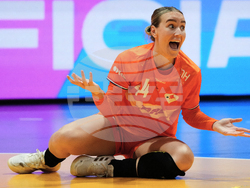 Netherlands World Handball