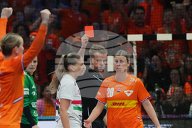 Netherlands World Handball