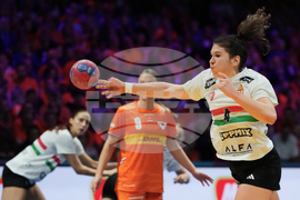 Netherlands World Handball