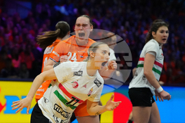 Netherlands World Handball