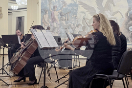 Добрич - камерен оркестър - концерт