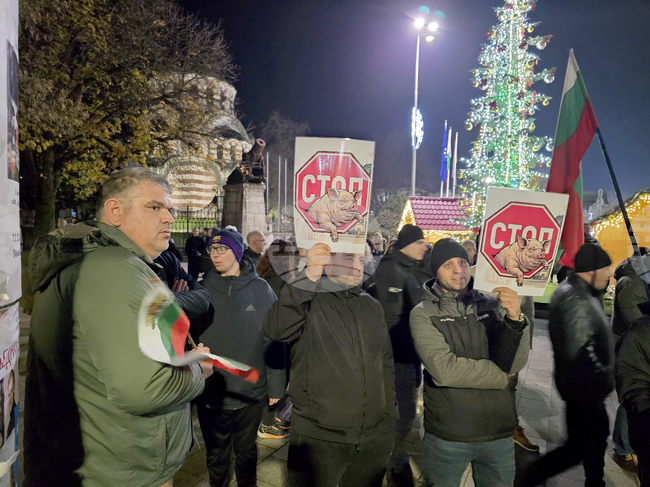Плевен - протест срещу правителството