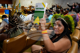 Brazil Indigenous Lands