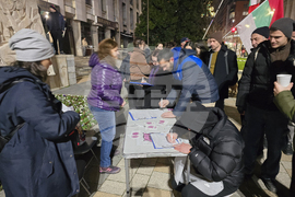 Плевен - протест срещу правителството