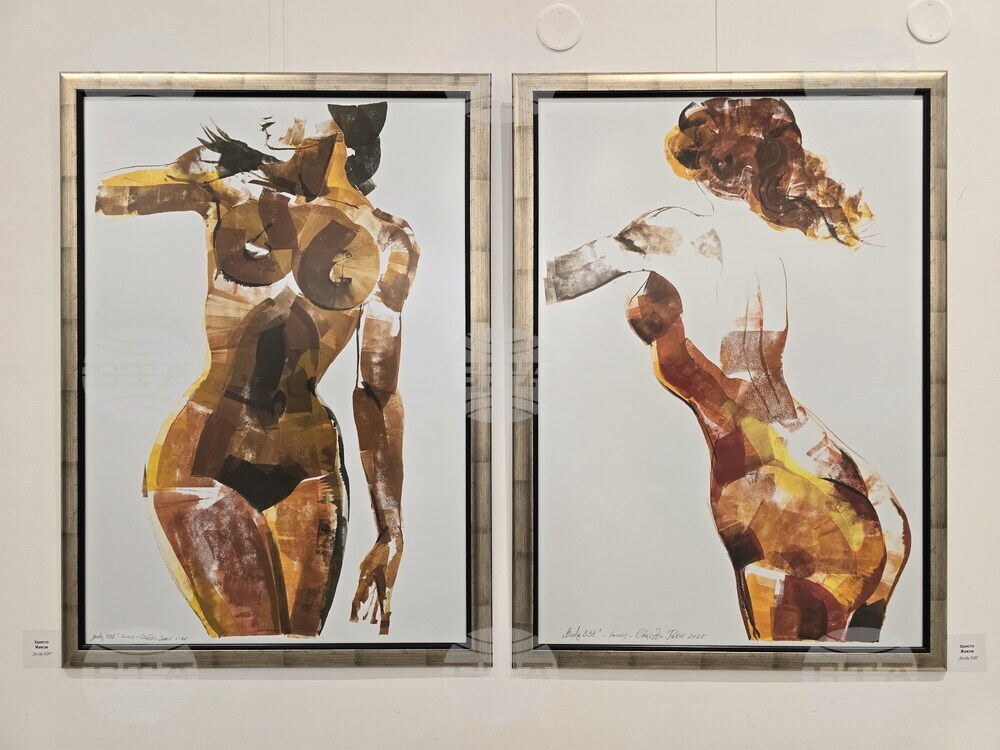 Пловдив - годишна изложба на Дружеството на пловдивските художници - откриване