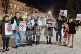 Враца - протест срещу правителството