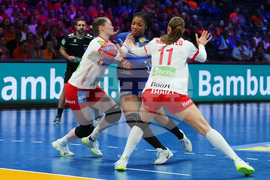 Netherlands World Handball