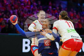 Netherlands World Handball