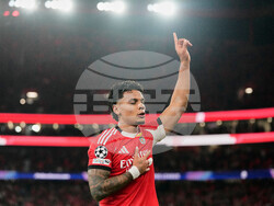 Portugal Champions League Soccer