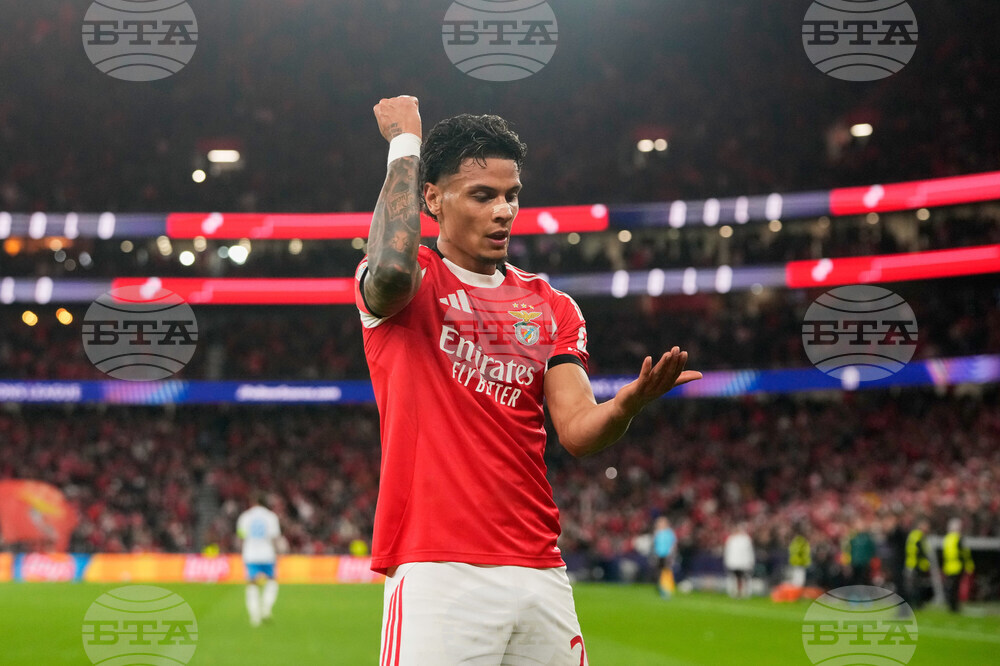 Portugal Champions League Soccer