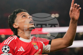 Portugal Champions League Soccer