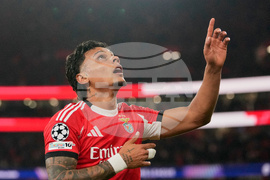 Portugal Champions League Soccer