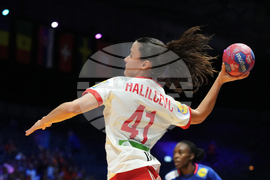 Netherlands World Handball