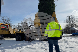 US Christmas Tree Gift