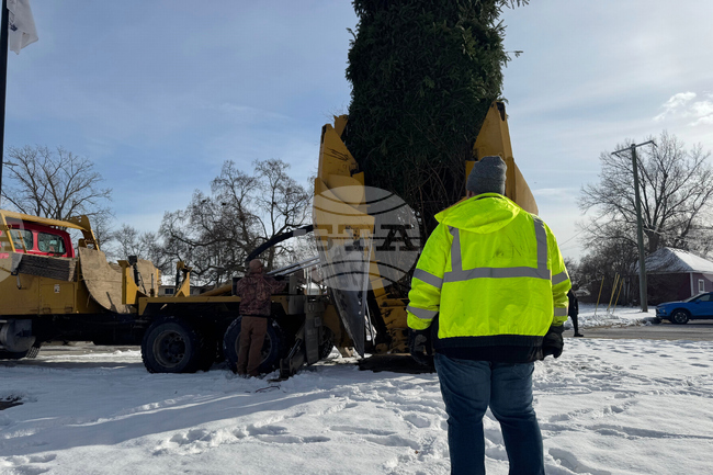 US Christmas Tree Gift