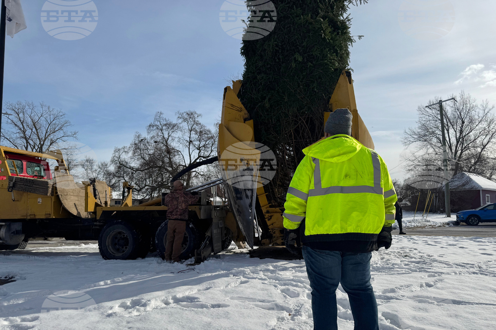 US Christmas Tree Gift