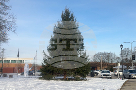 US Christmas Tree Gift