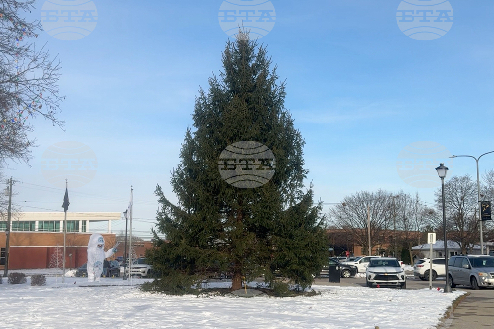 US Christmas Tree Gift