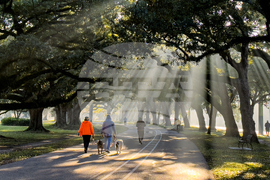 New Orleans Daily Life