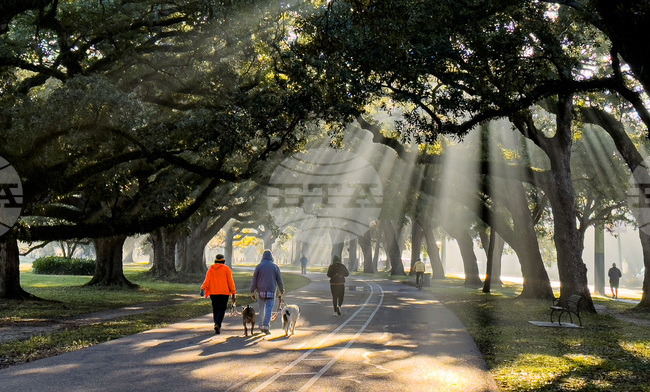 New Orleans Daily Life