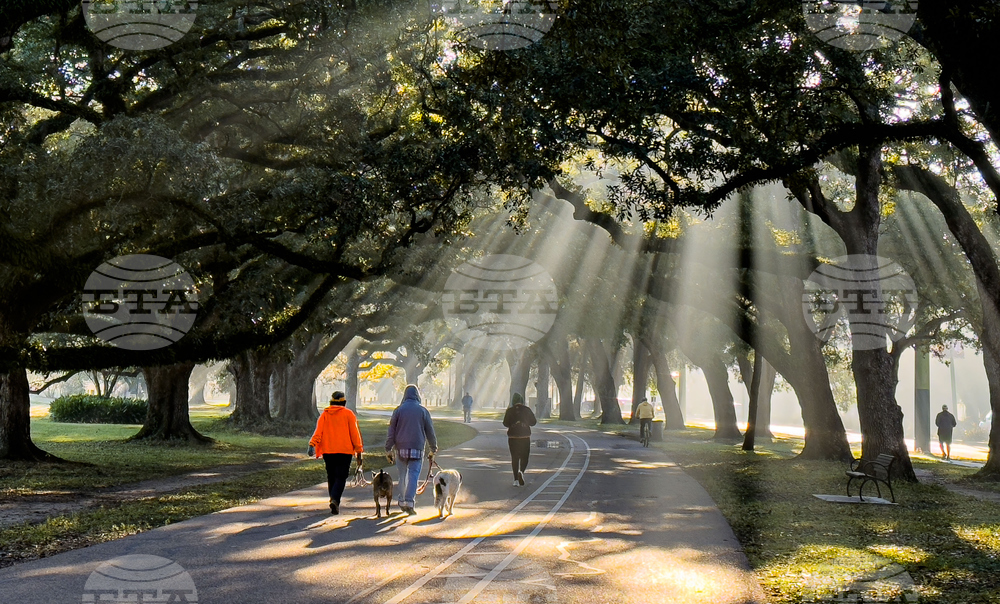 New Orleans Daily Life