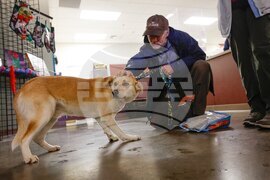 Extreme Weather Washington Flooding